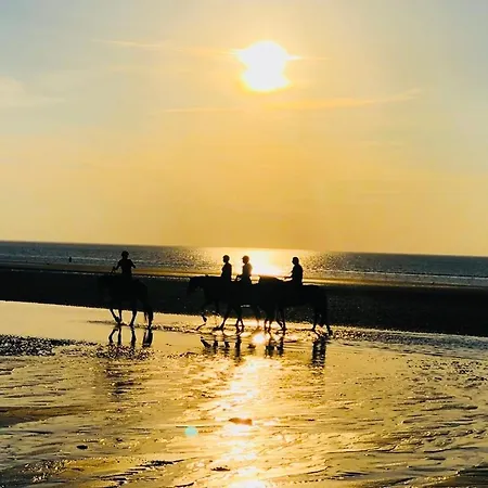 Butterfly - Piscine - Tennis - Parking Apartment